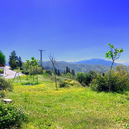 Casa Los Abetos Cerca De La Alhambra Y Sierra Nevada Villa Cenes De La Vega Buitenkant foto