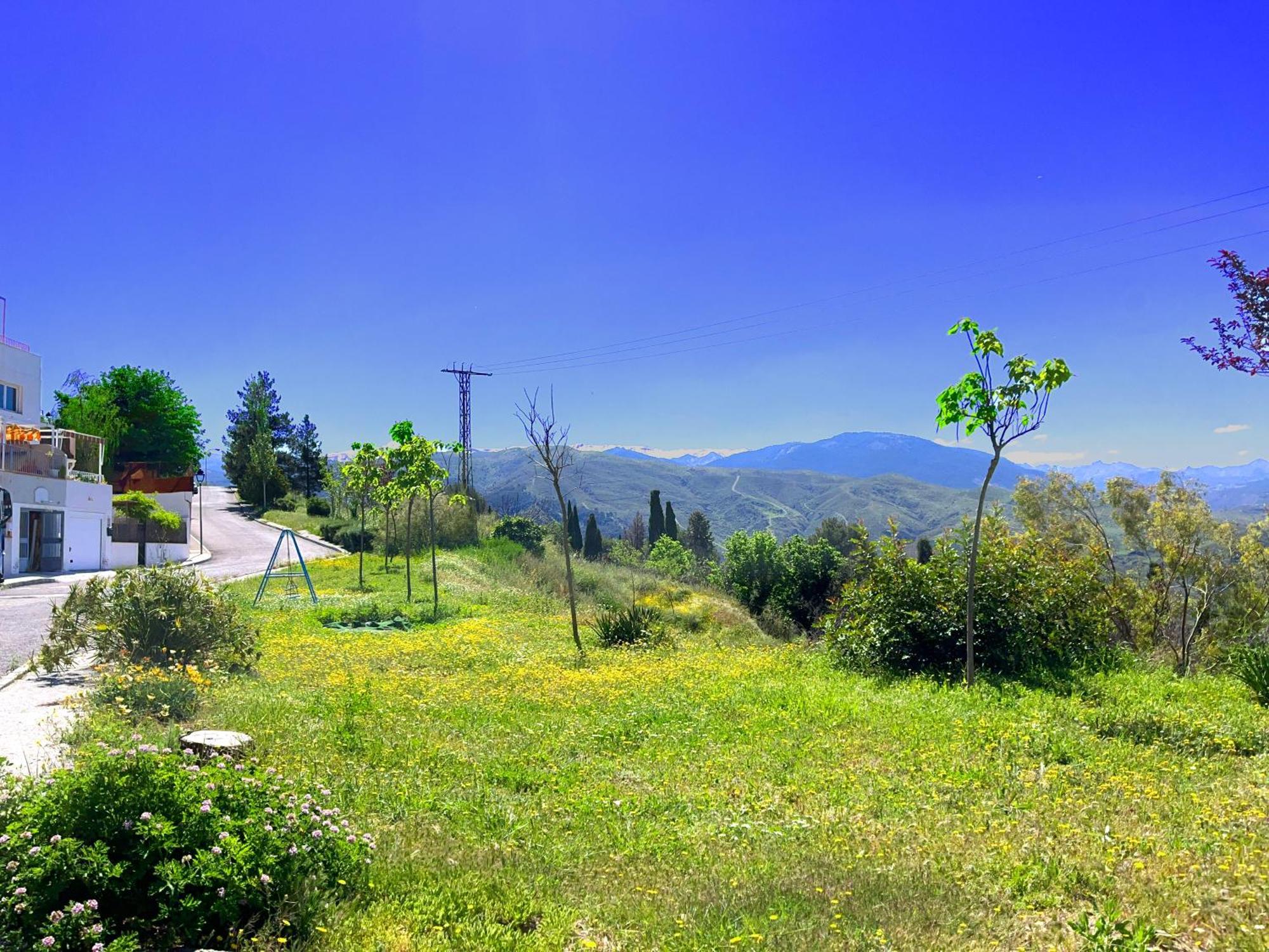 Casa Los Abetos Cerca De La Alhambra Y Sierra Nevada Villa Cenes De La Vega Buitenkant foto